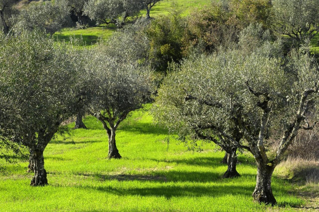 Il Podere La Casina Monsummano Terme Exteriör bild