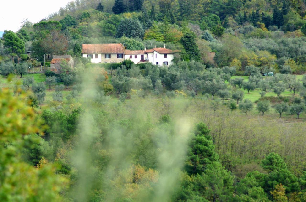 Il Podere La Casina Monsummano Terme Exteriör bild