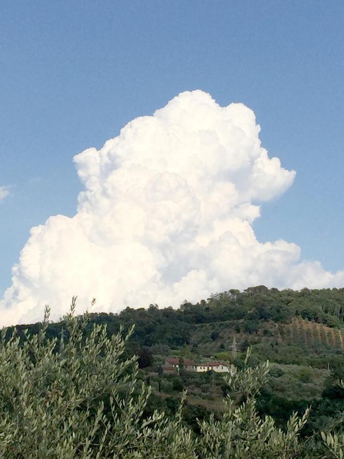 Il Podere La Casina Monsummano Terme Exteriör bild