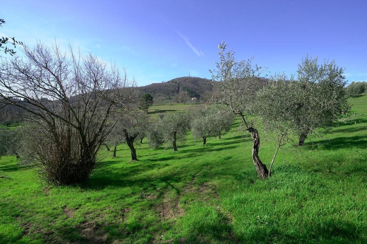 Il Podere La Casina Monsummano Terme Exteriör bild