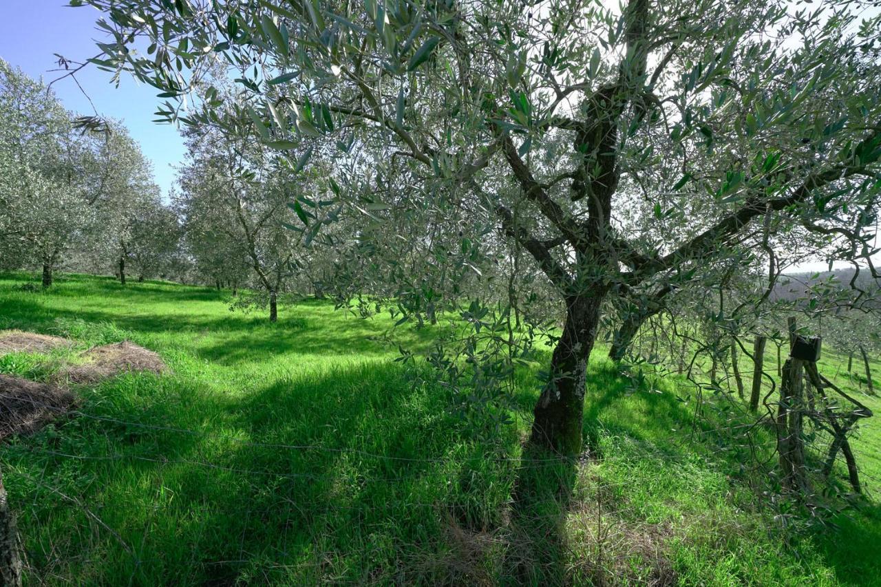 Il Podere La Casina Monsummano Terme Exteriör bild
