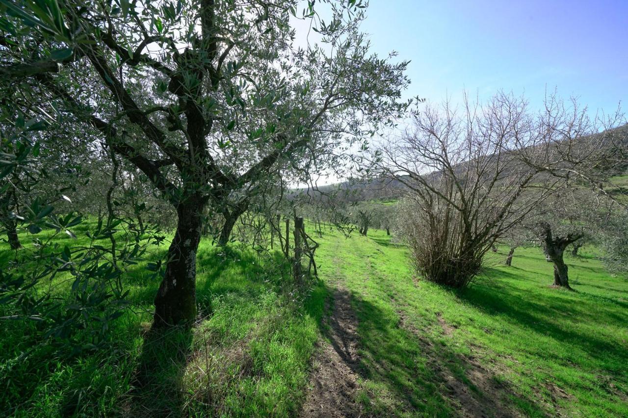 Il Podere La Casina Monsummano Terme Exteriör bild