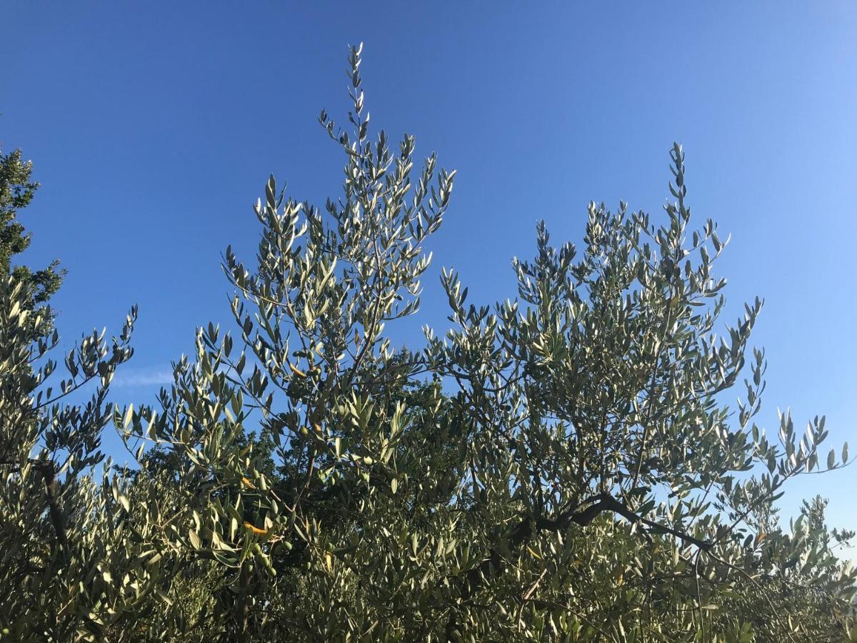 Il Podere La Casina Monsummano Terme Exteriör bild