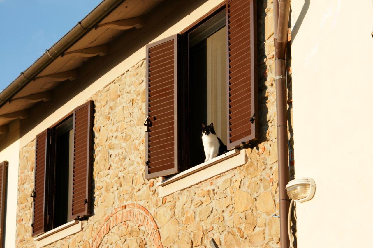 Il Podere La Casina Monsummano Terme Exteriör bild