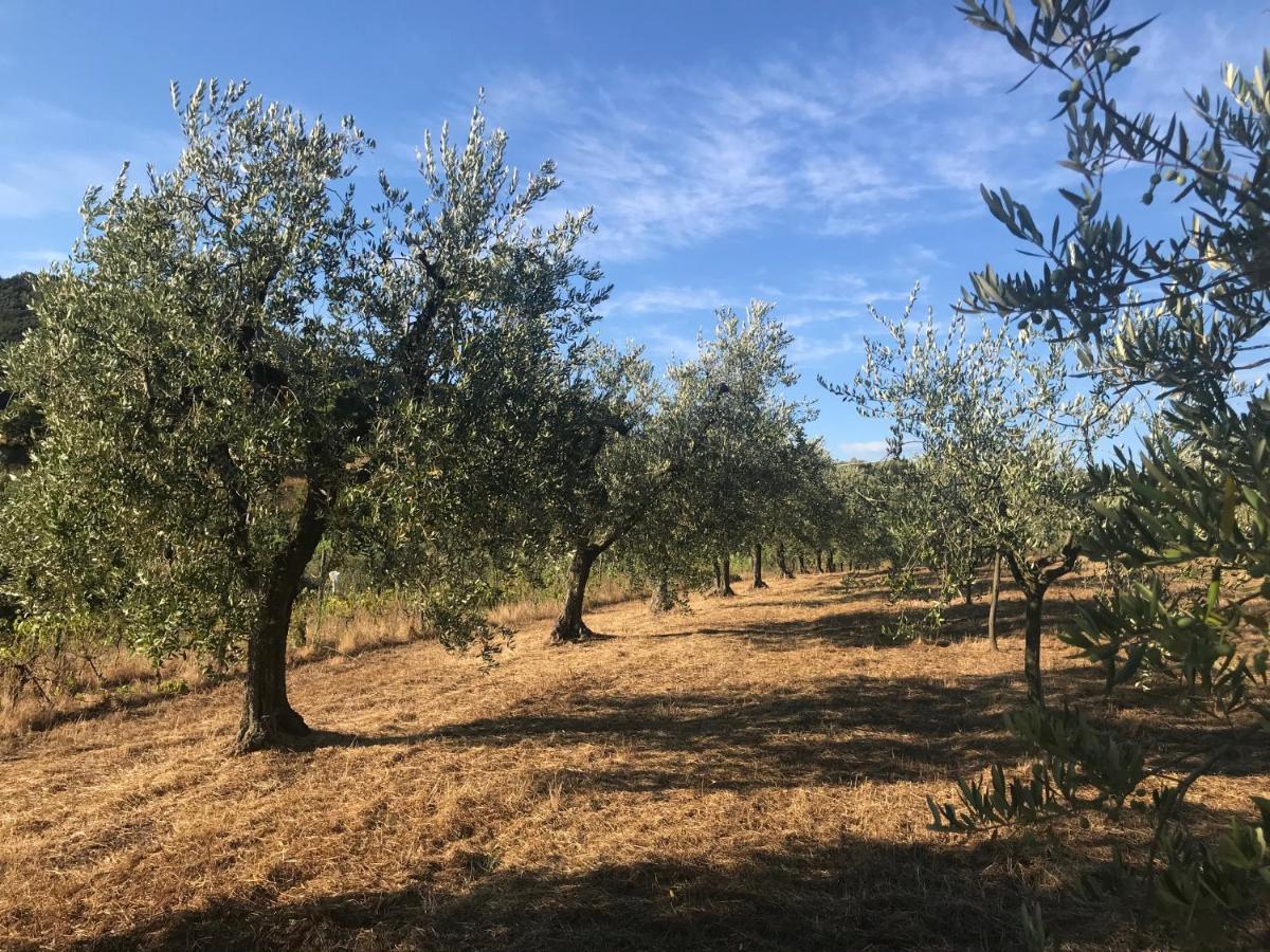Il Podere La Casina Monsummano Terme Exteriör bild