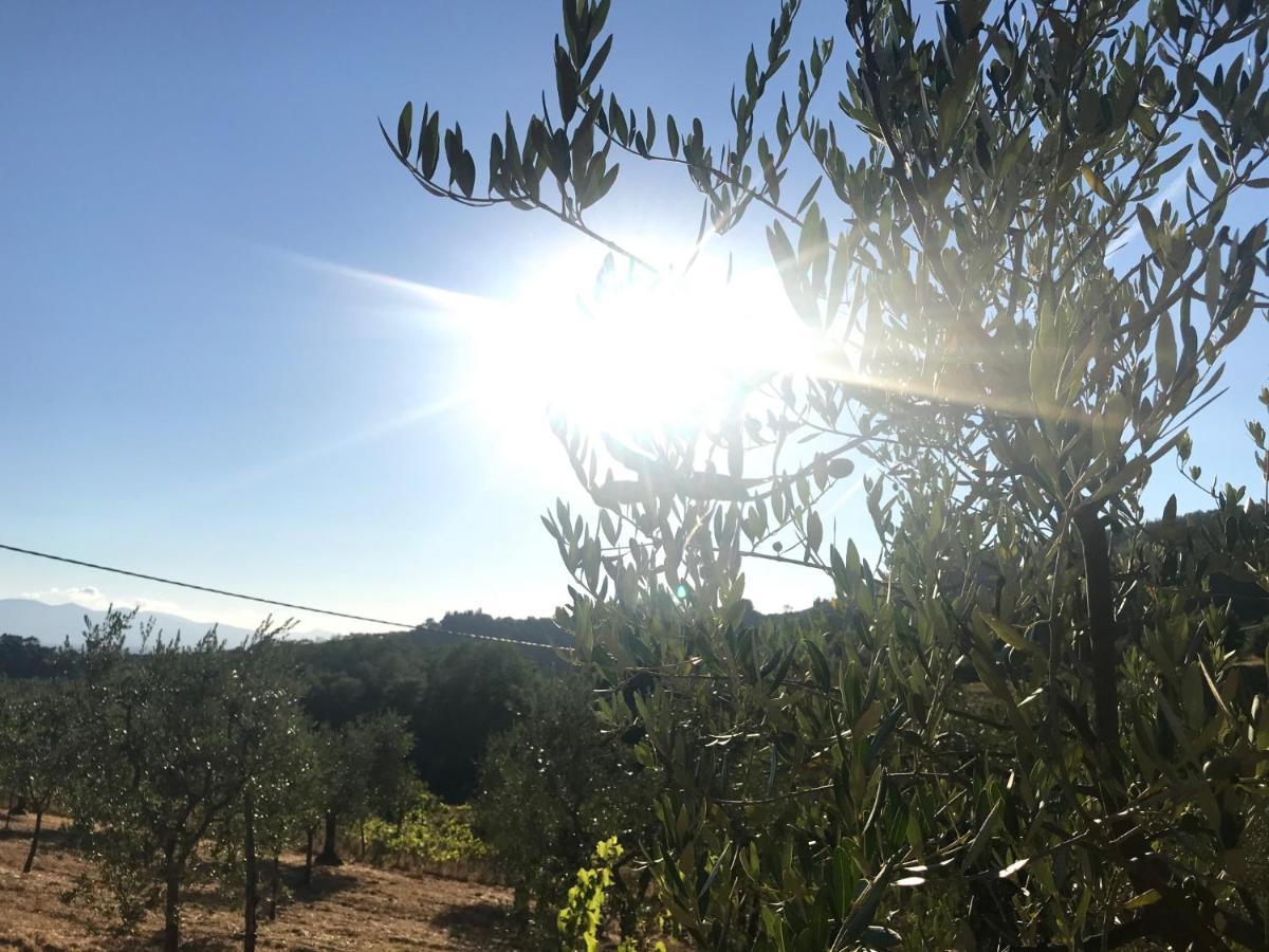 Il Podere La Casina Monsummano Terme Exteriör bild