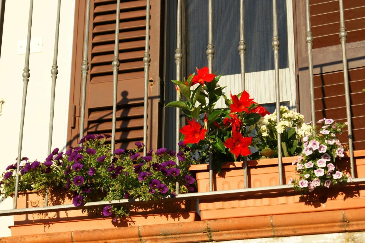 Il Podere La Casina Monsummano Terme Exteriör bild