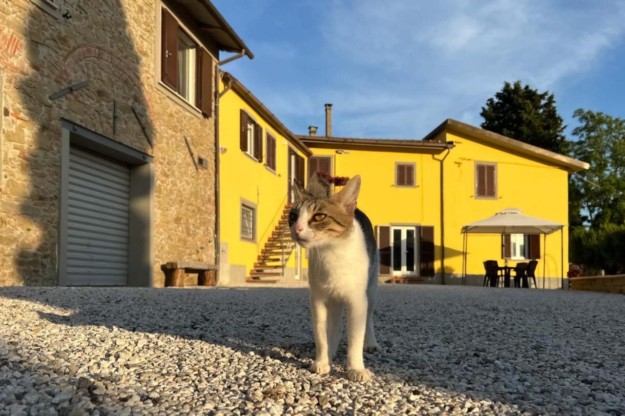 Il Podere La Casina Monsummano Terme Exteriör bild
